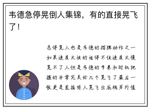 韦德急停晃倒人集锦，有的直接晃飞了！